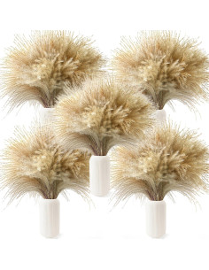 450 Piezas de Hierba Pampas Natural CKBT - Decoración Bohemia 2