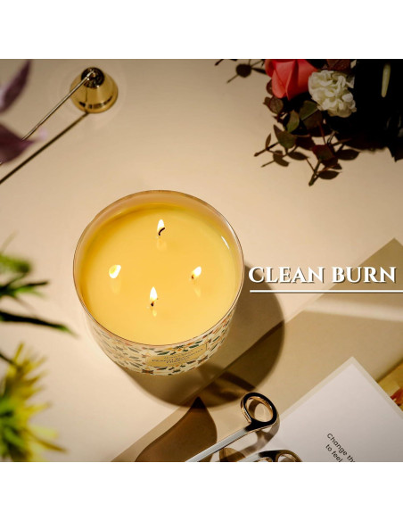 Velas Aromatizadas de Cera de Soja HomeLights 510g 4 Mechas