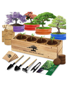 Kit de Bonsai Completo para Principiantes - 4 Semillas y Herramientas