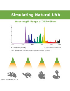 Bombillas de Calor UVA 60W HARTOMPET para Reptiles - Paquete de 2 2