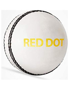 Pelota de Cricket DSC Red Dot de Cuero Estándar Blanca 2