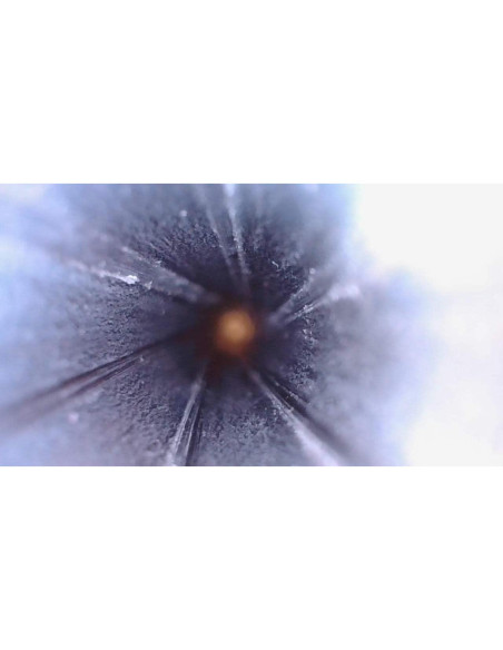 Borescopio Digital Vividia GB-430 USB 4mm 30cm Inspección