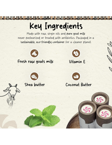 Bálsamo Labial Natural HushHush Farm Menta - Paquete de 3