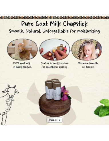 Bálsamo Labial Natural HushHush Farm Menta - Paquete de 3