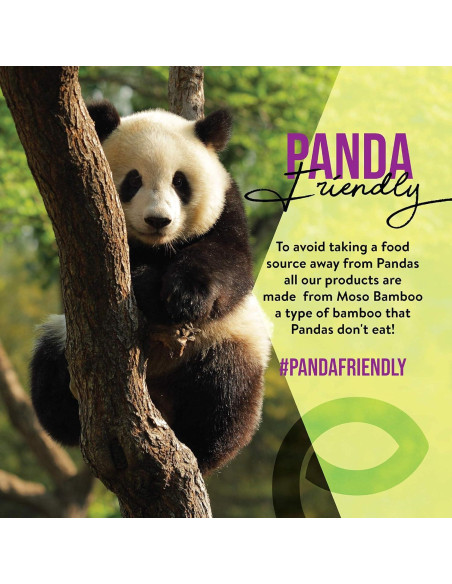 Bastones de Algodón de Bambú EcoSlurps - 600 Unidades Biodegradables