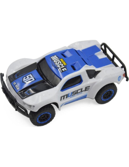 Coche RC Blomiky D143 4WD 14.48 km/h Azul Blanco Coche RC Blomiky D143 4WD 14.48 km/h Azul Blanco