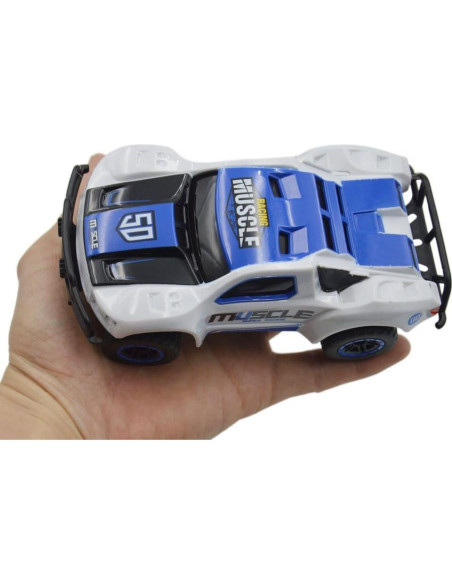 Coche RC Blomiky D143 4WD 14.48 km/h Azul Blanco Coche RC Blomiky D143 4WD 14.48 km/h Azul Blanco