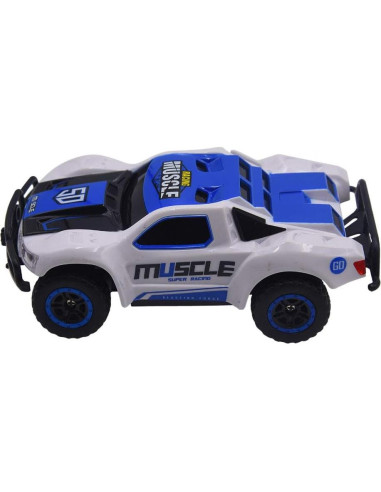 Coche RC Blomiky D143 4WD 14.48 km/h Azul Blanco