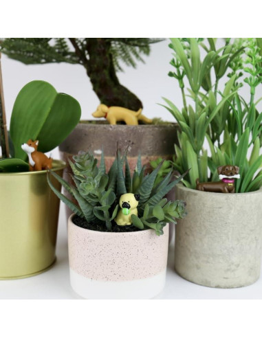 Juego de 4 Mini Macetas de Perro Gift Republic - Decoración Jardín