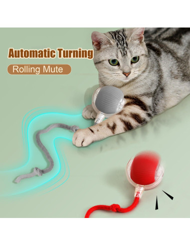 Bola Interactiva para Gatos Genérico 360 Recargable Verde+Rojo