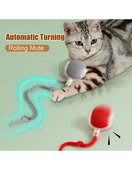 Bola Interactiva para Gatos Genérico 360 Recargable Verde+Rojo