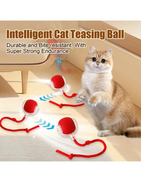 Bola Interactiva para Gatos Genérico 360 Recargable Verde+Rojo