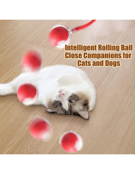 Bola Interactiva para Gatos Genérico 360 Recargable Verde+Rojo