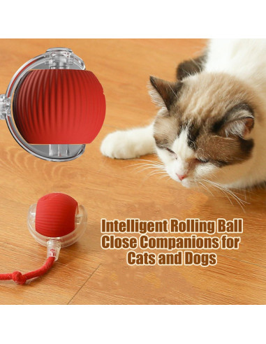 Bola Interactiva para Gatos Genérico 360 Recargable Verde+Rojo