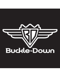 Collar de Perro Buckle-Down DC Comics 1.83m x 3.81cm 2