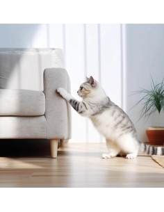 Cinta de Protección CLAWGUARD 20 Tiras 30.48x10.16 cm 2