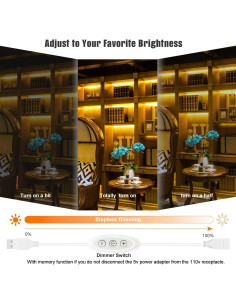 Interruptor Regulador USB GXILEE 10 Niveles 5V - Paquete de 2 2