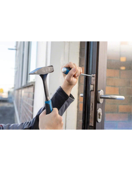 Conjunto de Destornilladores Bosch Professional 6 Piezas 75-125 mm