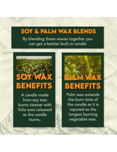 Vela de Emergencia 3 Mechas SE Survivor 36 Horas Cera Soja