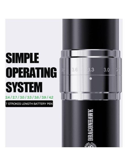 Máquina de Tatuaje Inalámbrica Dragonhawk YZBTD con 2 Baterías