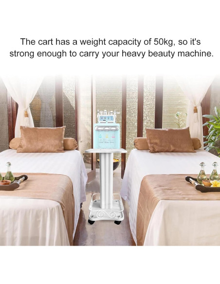 Carro de Salón DNYSYSJ Blanco 2 Niveles 69cm 40kg