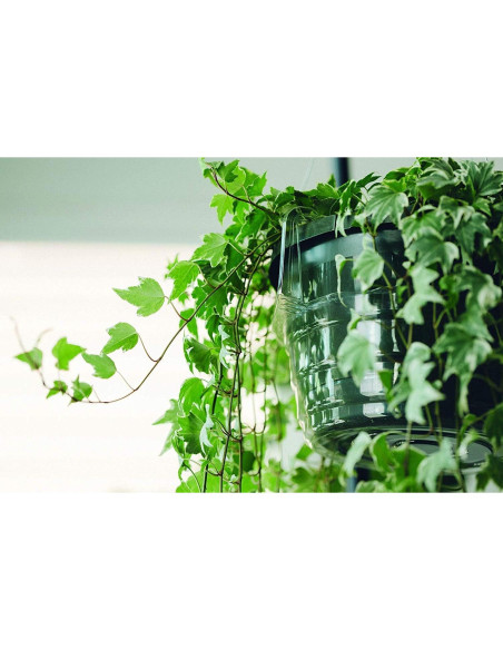 Bandejas de Goteo para Cestas Colgantes Curtis Wagner 30.5 cm - Paquete de 5