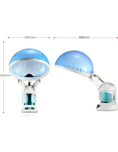 Vaporizador 2 en 1 DENFANY para Cabello y Cara con Ozono