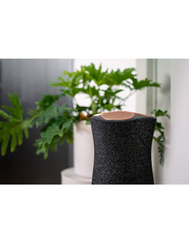 Altavoz Inalámbrico Sony SRS-RA5000 360 Reality Audio Negro