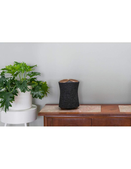 Altavoz Inalámbrico Sony SRS-RA5000 360 Reality Audio Negro