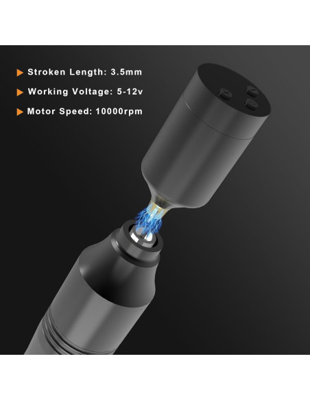 Kit de Tatuaje Completo Peslief con 10 Agujas y Tintas Kit de Tatuaje Completo Peslief con 10 Agujas y Tintas