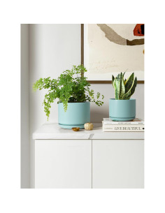 Set de 3 Macetas de Cerámica LE TAUCI 10.9-17.3 cm Aqua 2