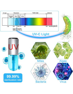 Luz de Eliminación de Algas TAISHAN 3W para Acuario y Estanque 2