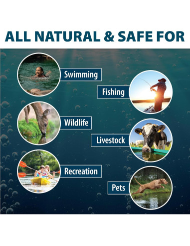 Colorante Azul Natural para Estanques Airmax - 16 Paquetes Solubles