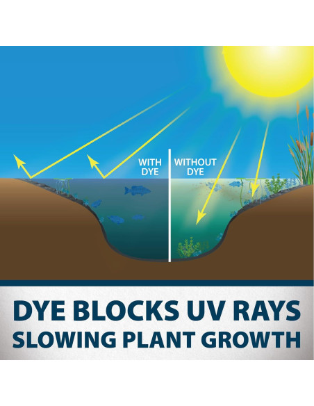 Colorante Azul Natural para Estanques Airmax - 16 Paquetes Solubles