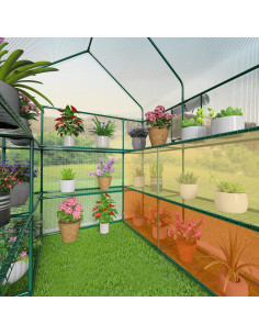 Invernadero SV School Value 10 Estantes 142x142x198 cm PE 2