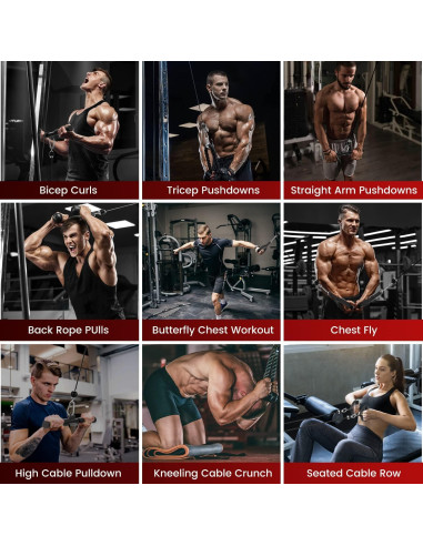 Sistema de Polea de Peso Concho - Ajustable, 158.8 kg, 3 Mangos