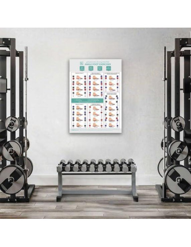 Conjunto de Ejercicio para Tobillo y Pie CELAFORME - 4 Tableros