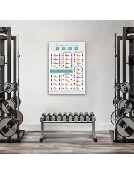 Conjunto de Ejercicio para Tobillo y Pie CELAFORME - 4 Tableros