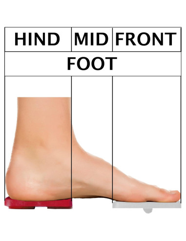 Conjunto de Ejercicio para Tobillo y Pie CELAFORME - 4 Tableros