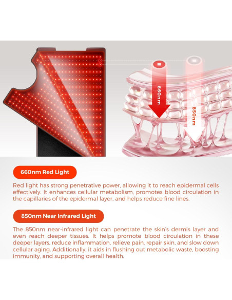 Alfombra Terapia Luz Roja QuasarMD 182,88 cm Alivio Dolor Alfombra Terapia Luz Roja QuasarMD 182,88 cm Alivio Dolor