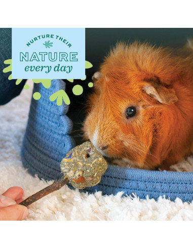 Anillos Torcidos Oxbow para Conejos y Cobayas - Juguetes Enriquecidos