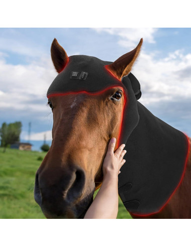 Dispositivo de Terapia de Luz Roja e Infrarroja para Caballos