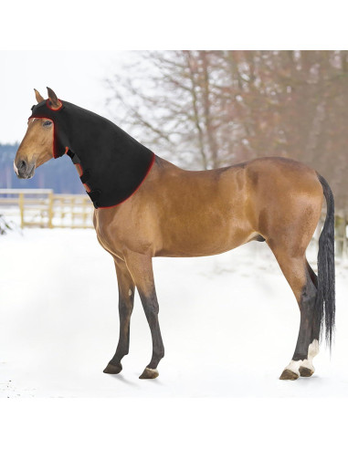 Dispositivo de Terapia de Luz Roja e Infrarroja para Caballos
