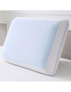 Almohada Viscoelástica Cool Gel Reversible 60x40 cm 2