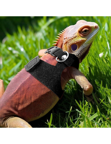 Juego de 3 arneses ajustables y correa para reptiles HJZHII Juego de 3 arneses ajustables y correa para reptiles HJZHII