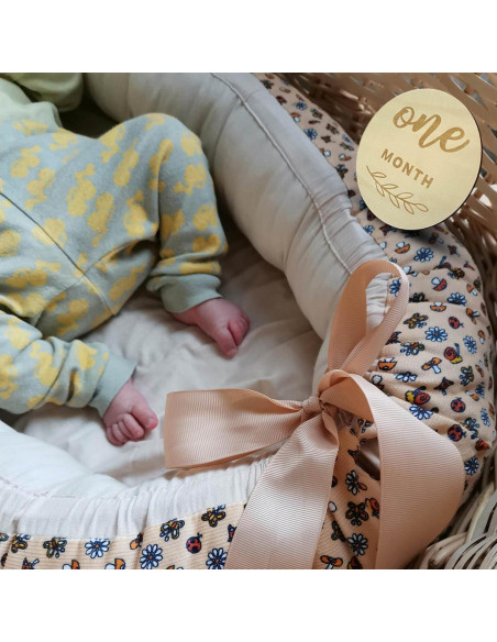 12 Tarjetas de Hitos Mensuales de Madera para Bebé - Recuerdos