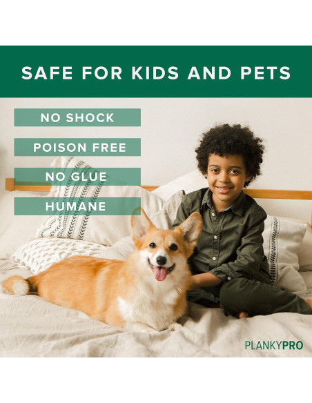 Trampa de Ratones y Ratas PlankyPro V2 con Tábula Intercambiable