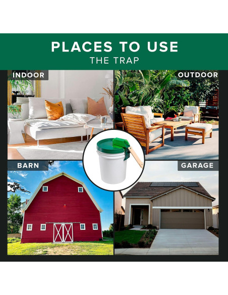 Trampa de Ratones y Ratas PlankyPro V2 con Tábula Intercambiable