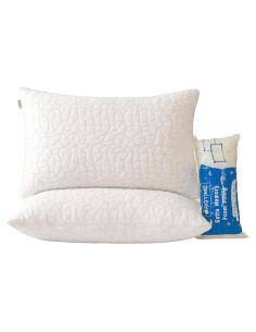 Cojines de Espuma de Memoria RGTIME Queen Set de 2 Ajustables