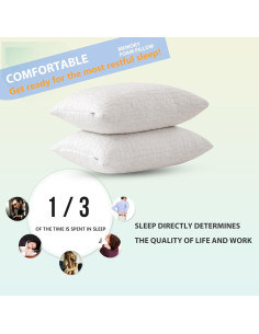 Cojines de Espuma de Memoria RGTIME Queen Set de 2 Ajustables 2